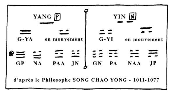 Yang Yin Philo